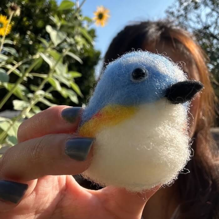 BB (Blue Bird)